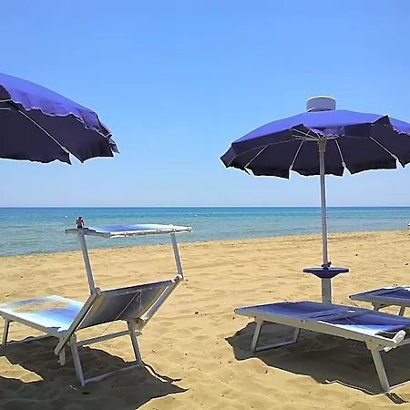 Eucaliptus Sea View